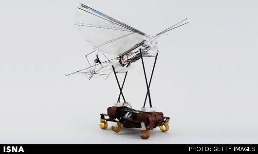 سوسک‌رباتیکی که ربات پرنده را به پرواز درآورد