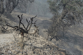 مهار آتش‌سوزی جنگل های ایلام با کمک هواپیماو بالگرد سپاه