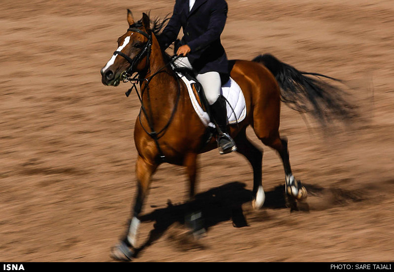 1434177717647_SAREH TAJALLI (1 of 15).jpg