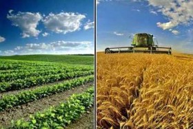 هزینه‎های تولید جبران نشود، سال آینده کشاورزی از رونق می‌‎افتد