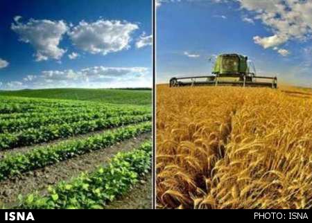زمین‌های کشاورزی هر روز آب می‌روند!