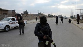 کشته شدن یکی از سرکردگان داعش در "حسکه" سوریه