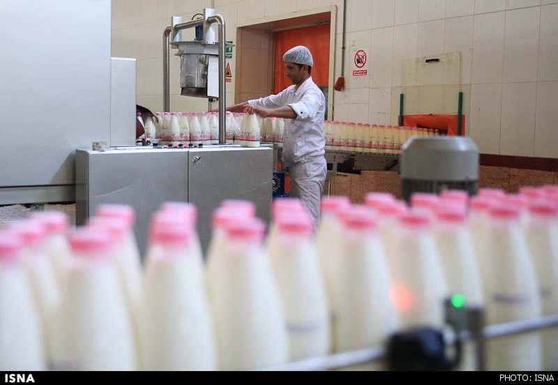 احتمال از دست رفتن بازار صادرات لبنیات/ دپوی 40 هزار تن شیرخشک