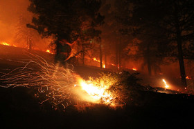 خطر آتش‌سوزی در جنگل‌های کرمان