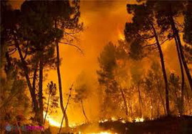 یک هکتار از اراضی جنگلی پارک ملی گلستان در آتش سوخت