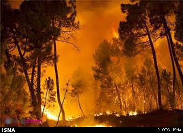 70 فقره آتش‌سوزی در 600 هکتار از اراضی لرستان رخ داده است