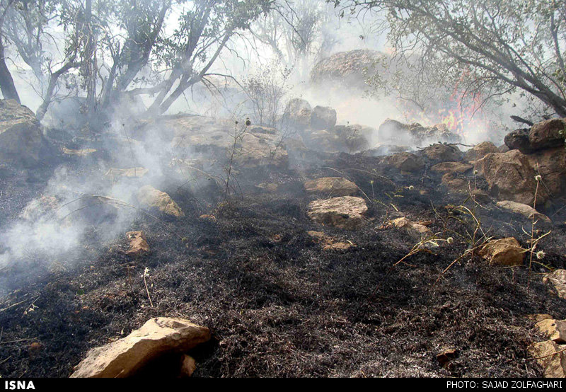 آخرین جزییات از آتش‌سوزی جنگل‌های «شاه‌بیشه»