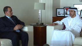 خاورمیانه؛ محور دیدار وزیر خارجه امارات با نماینده بان کی مون و عادل الجبیر
