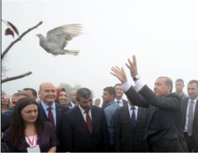 قمار اردوغان در بحران برای ارتقای قدرت