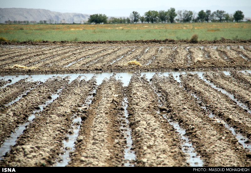 ایران در شمار کشورهای دارای پایین‌ترین راندمان آبیاری کشاورزی جهان است