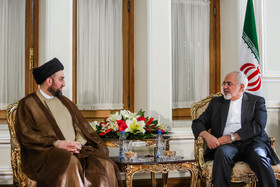 ظریف: ایران از مبارزه دولت عراق با داعش حمایت می‌کند