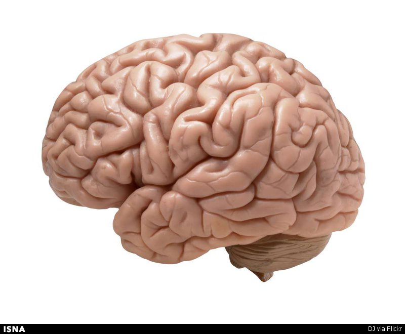 1440057839860_6.jpg
