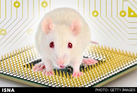 شبیه‌سازی مغز موش‌ در نسل جدید پردازنده‌های آی‌بی‌ام