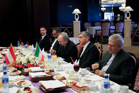 هدف‌گذاری برای افزایش 3 برابری مبادلات تجاری ایران و اتریش