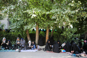 1443016615705_amin khosroshahi-20.jpg