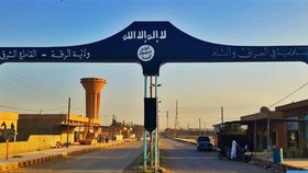 فرار گروهی رهبران داعش از شهر رقه سوریه