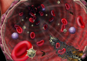 ارائه تعریف جدید از شکل‌گیری خون