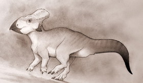 کشف فسیل دایناسور شاخدار در آمریکای شمالی