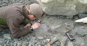 کشف اولین فسیل‌های میکروسکوپی