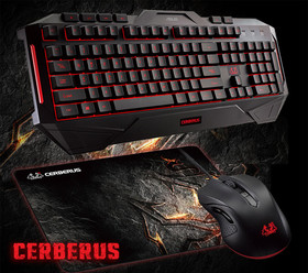 1453094278041_asus941028.jpg