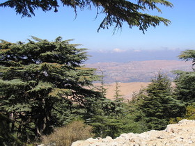 1453878358389_800px-View_from_the_Barouk_Forest_1.JPG