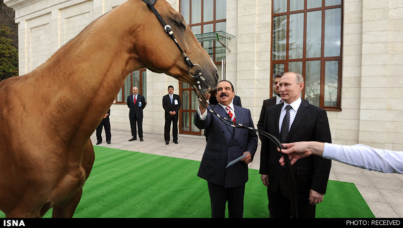 اسب پیشکشی پوتین به پادشاه بحرین
