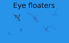 1455457797140_eye_floaters.jpg