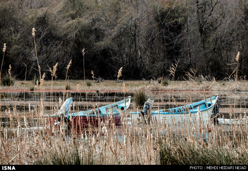 مرداب جوکندان