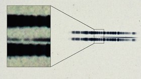 1460618649707_1917-plate-first-exoplanet-evidence-1.jpg