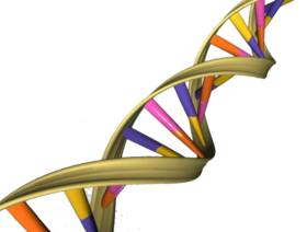 1464680180670_1-dna.png