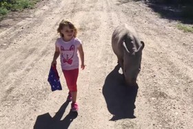 1465033584733_Toddler-bonds-with-baby-rhino-during-a-walk-in-Kenya.jpg