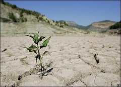 در 60 سال اخیر، شاهد 33 سال خشکسالی بوده‌ایم