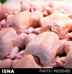 اولین حضور مرغ منجمد در تالار صادراتی بورس کالای ایران
