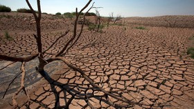 اعلام وضعیت اضطراری در زیمبابوه به دلیل خشکسالی