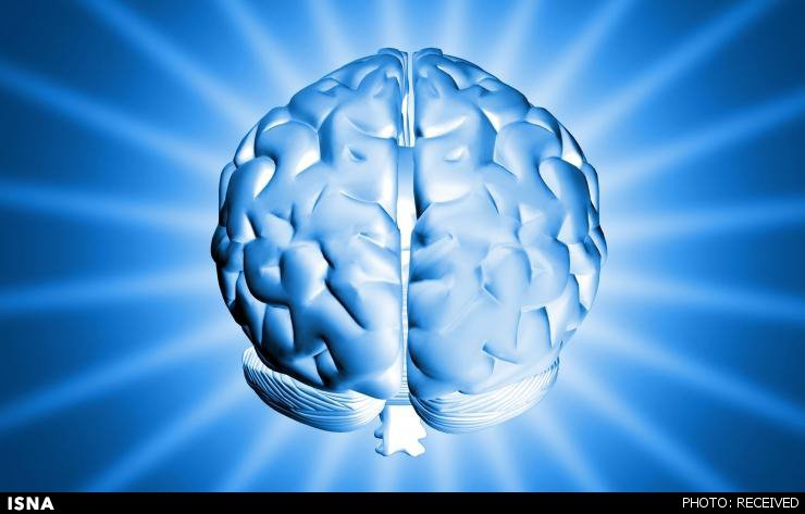 کشف یک توانایی خارق‌العاده مغز انسان
