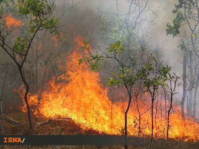 آتش‌سوزی گسترده در پارک ملیِ غرب آمریکا