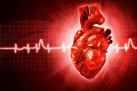 1. شبیه سازی پرتوهای فراصوت برای تشخیص گرفتگی عروق کرونر قلب 