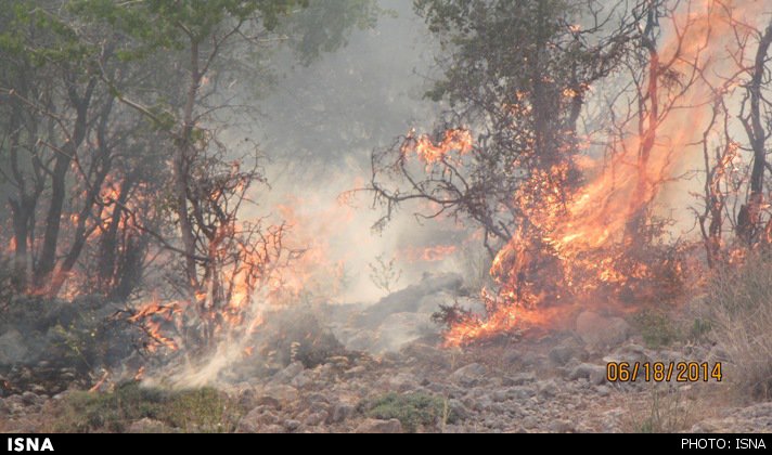 مهار آتش سوزی در جنگل‌های سردشت‌