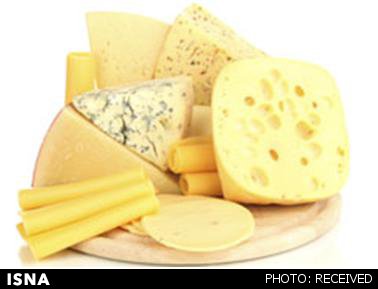 شناسایی اجتماعات میکروبی در پنیر
