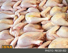 آنفلوآنزای مرغی به فیروزکوه رسید/ ارزانی مرغ تا مهرماه