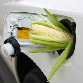 20090401_corn fuel.jpg