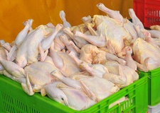 حل شایعات آنفلوآنزایی عامل افزایش قیمت مرغ 
