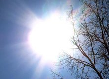 محققان دریافتند: تاثیر نور صبحگاهی خورشید در کنترل وزن