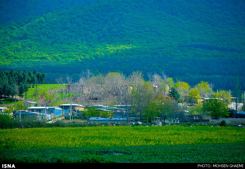 فعالیت ویژه پژوهشی در زمینه‌های کشاوزی و فضای سبز در استان گلستان