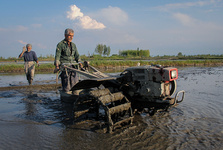 213-45.jpg