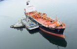 224-20.jpg