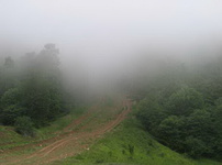 جنگل ابر 230-4.jpg