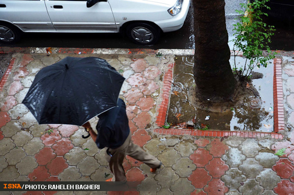 بارش پراکنده باران همراه با رعدوبرق و وزش باد در استان‌های شمالی