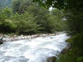28081_1.jpg