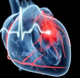 موفقیت دانشمندان در پیشگیری از تکرار حمله قلبی بیماران با تزریق بافت چربی سینه